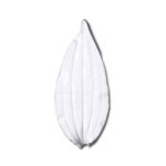 Lily Leaf