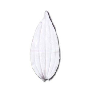 Lily Leaf