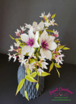 Clematis Jasmine 1