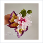Hibiscus Begonia and Filler Flowers Online Class - Classes - Image 2