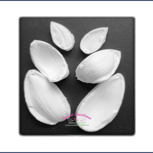 Leucadendron Protea Veiner Set - Flower and Leaf Veiners