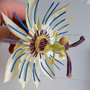 Passion Flower Veiners