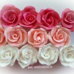 Ombre Rose Set