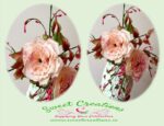 David Austin Rose Class - Image 2