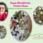 Blackberry Class Online