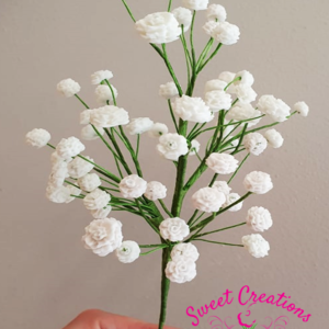 Gypsophila Spray