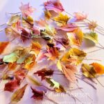 Autumn Leaves