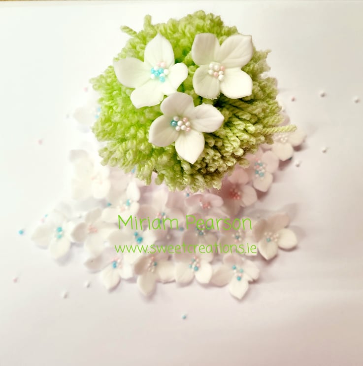 wp-image-679cae1043290.jpg Edible Flowers Hydrangea - Image 1