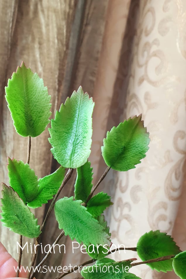 wp-image-679cae69b49a6.jpg Sugar Rose Leaves - Image 1