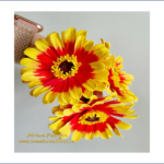 Gerbera Yellow/Red