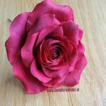 Large Coloured Roses