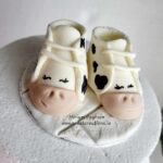 Baby Booties