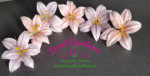 Cold Porcelain Lily Heads - Image 2