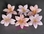 Cold Porcelain Lily Heads - Image 4