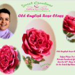 Old English Rose Class