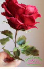 Old English Rose Class - Image 4