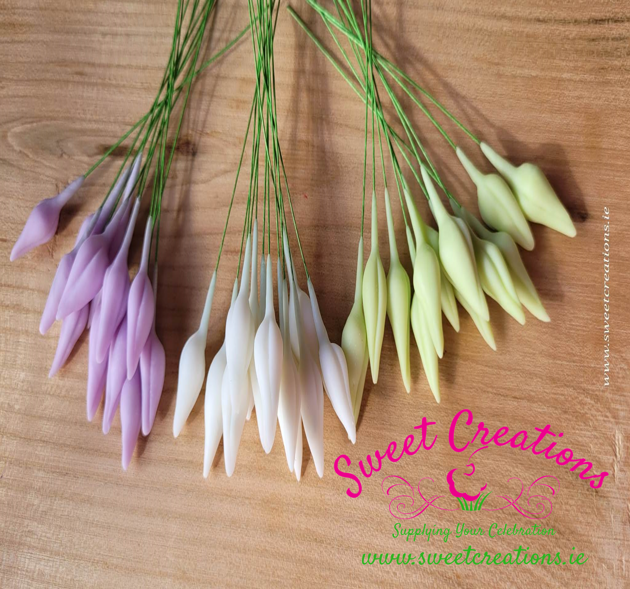 wp-image-679cb4564eb52.png Flower Buds - Image 1