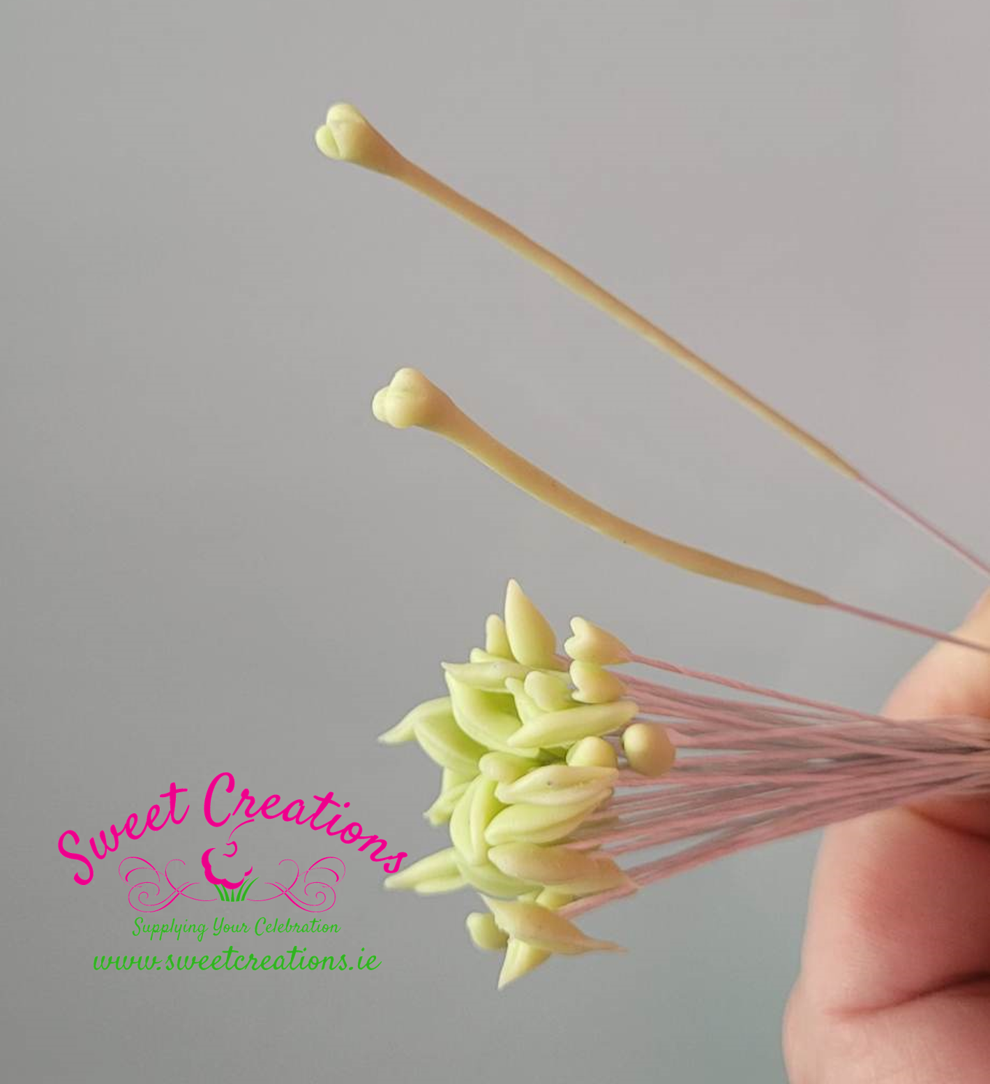 wp-image-679cb482bd47e.png Lily Stamens and Pistil - Image 1