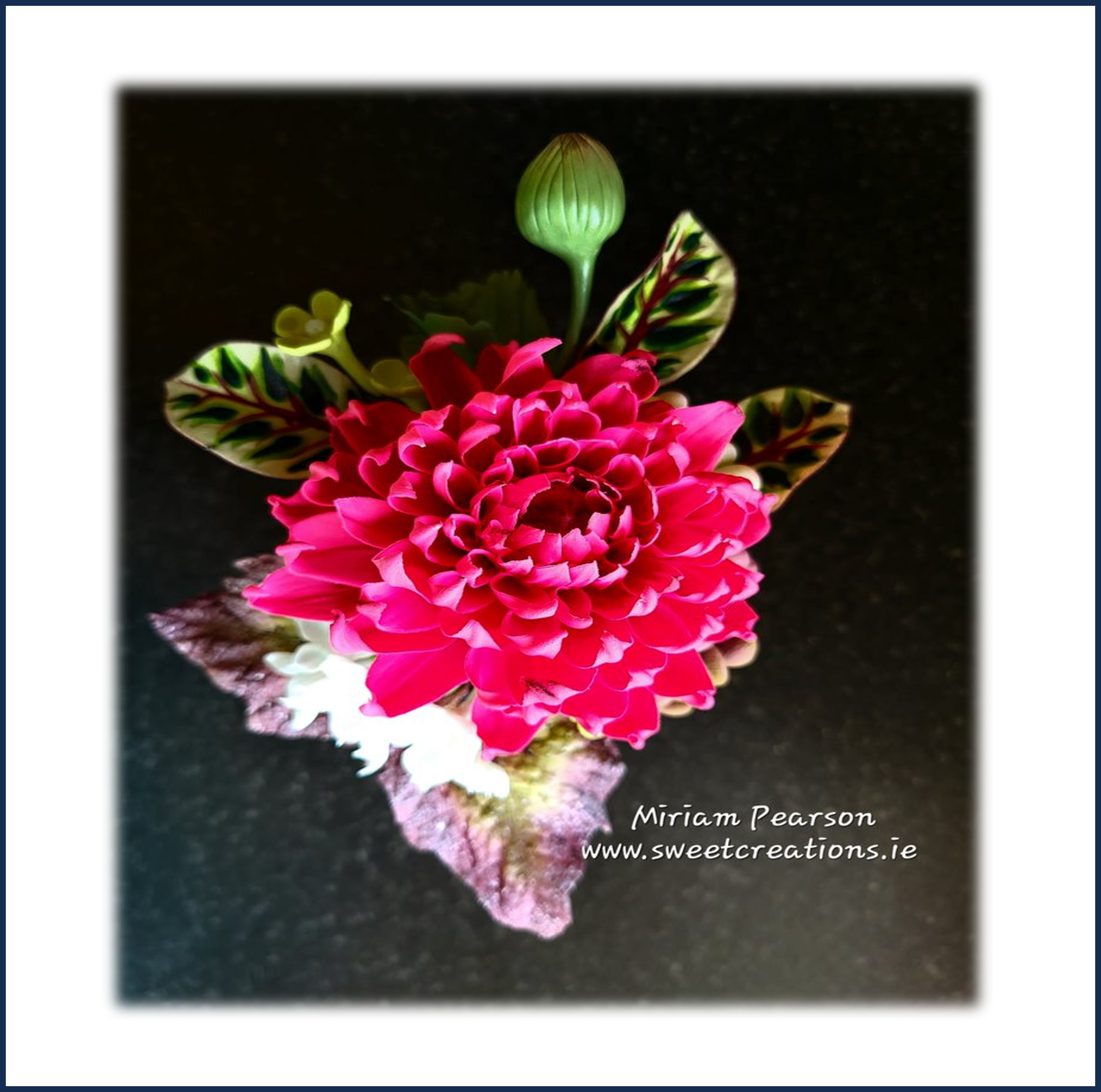 wp-image-679cbaa6b587a.png Dahlia Spray 1 Sugar Flowers - Image 1