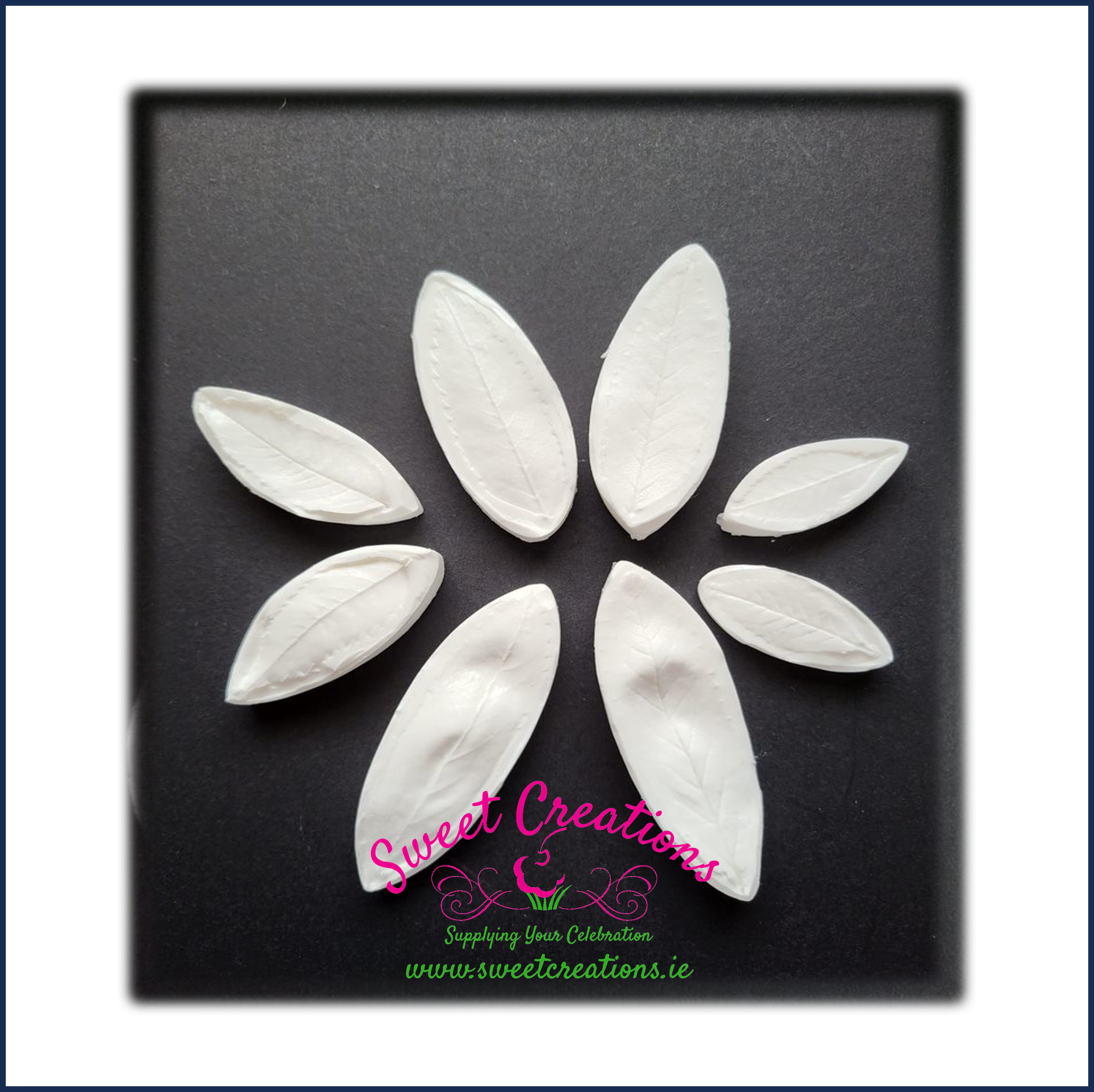 wp-image-679cc9f6ebdad.png Rowan Leaf Veiners