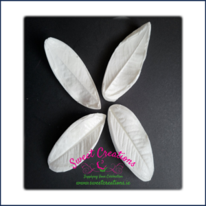 Frangipani Leaf Medium Veiners