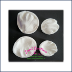 Anemone Petal Veiners
