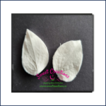 Clematis Leaf Veiner Small