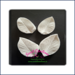 Dahlia Leaf Medium Veiners