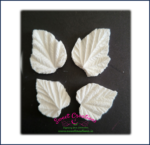 Blackcurrant Leaf Veiners