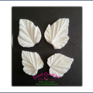 Blackcurrant Leaf Veiners