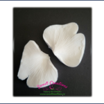 Ginko Leaf Veiner Medium