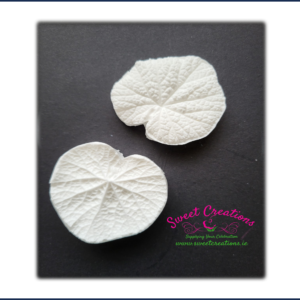 Hollyhock Leaf Veiners Small