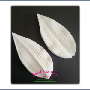 Hosta Leaf Veiner Large