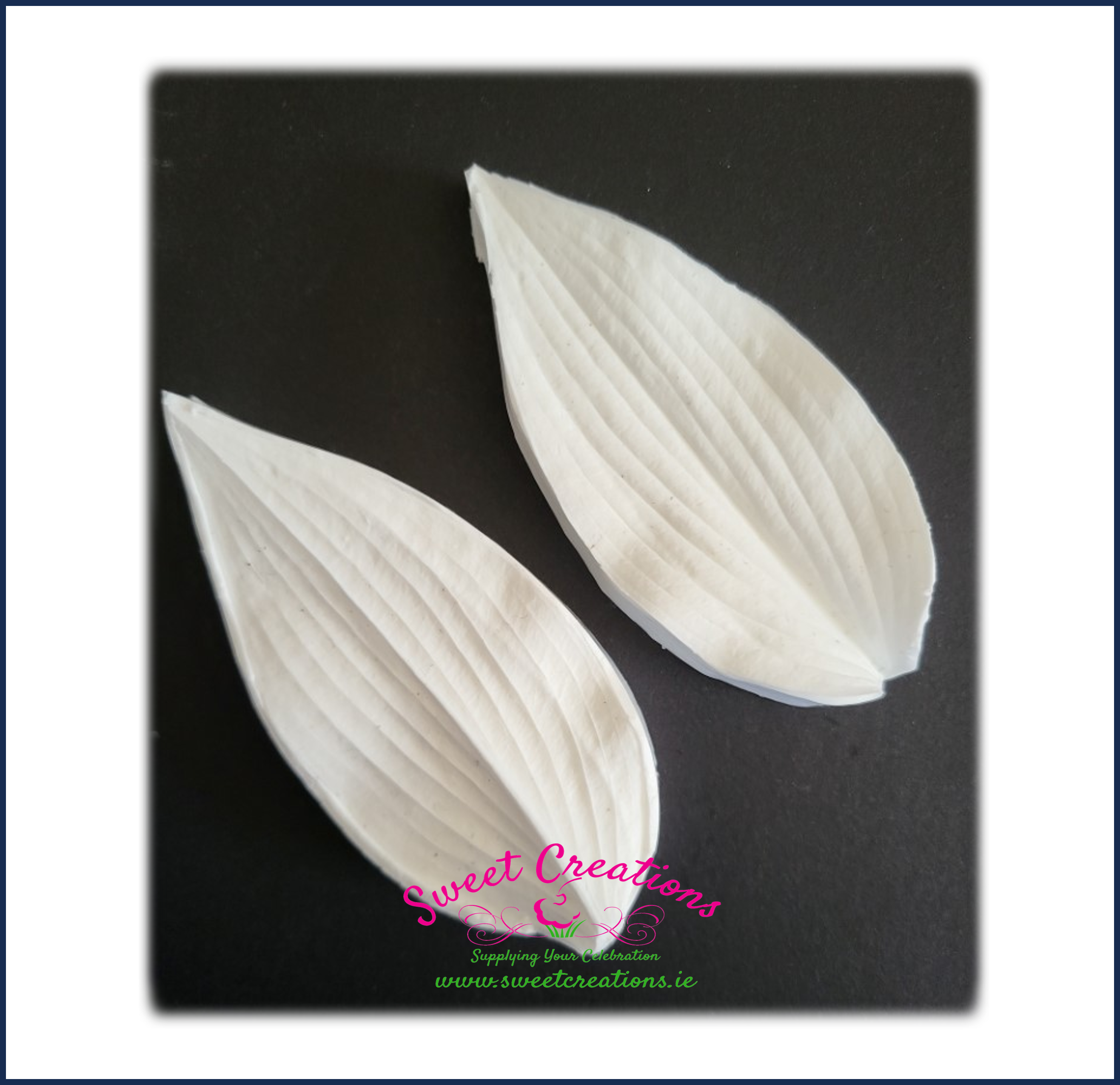 Hosta Large Hosta Leaf Veiner Large