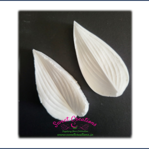 Hosta Veiner Medium