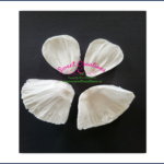 Daffodil Veiner Set