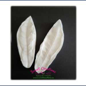 Garden Croton Leaf Veiner Medium