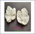Heuchera Leaf Veiners Small