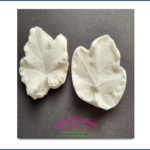 Heuchera Leaf Veiners Small