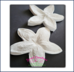 Chinese Lantern 5 Petal Veiner