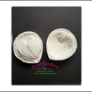 Dogwood Petal Leaf Veiner