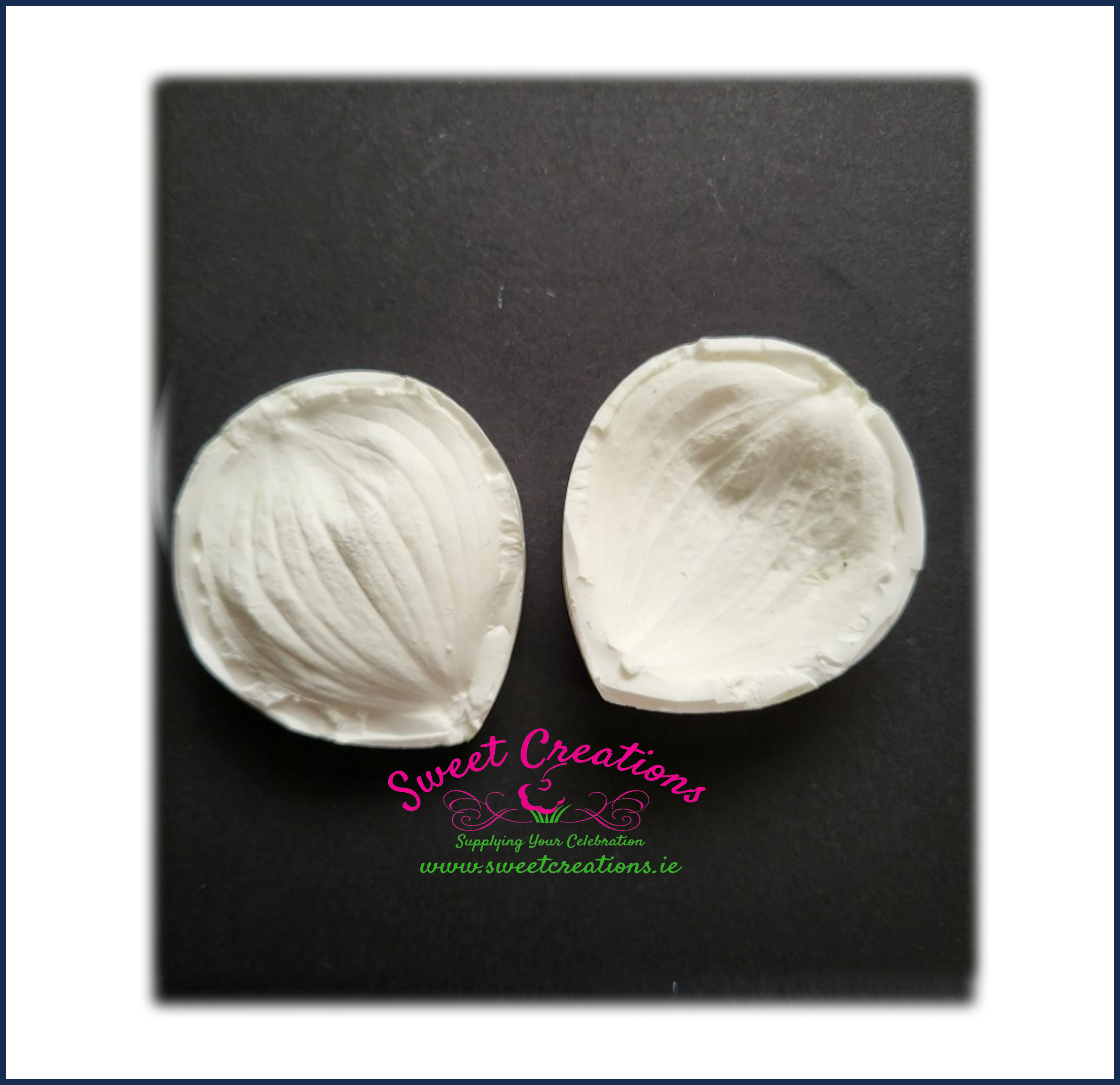 Dogwood Dogwood Petal Leaf Veiner