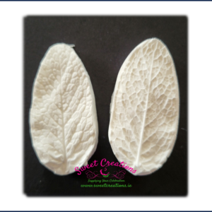 Mint Leaf Veiner