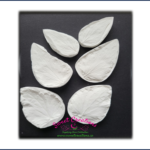 Nettle Leaf Veiners