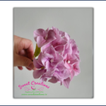 Cold Porcelain Hydrangea Pink