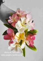 Frangipani Online Class