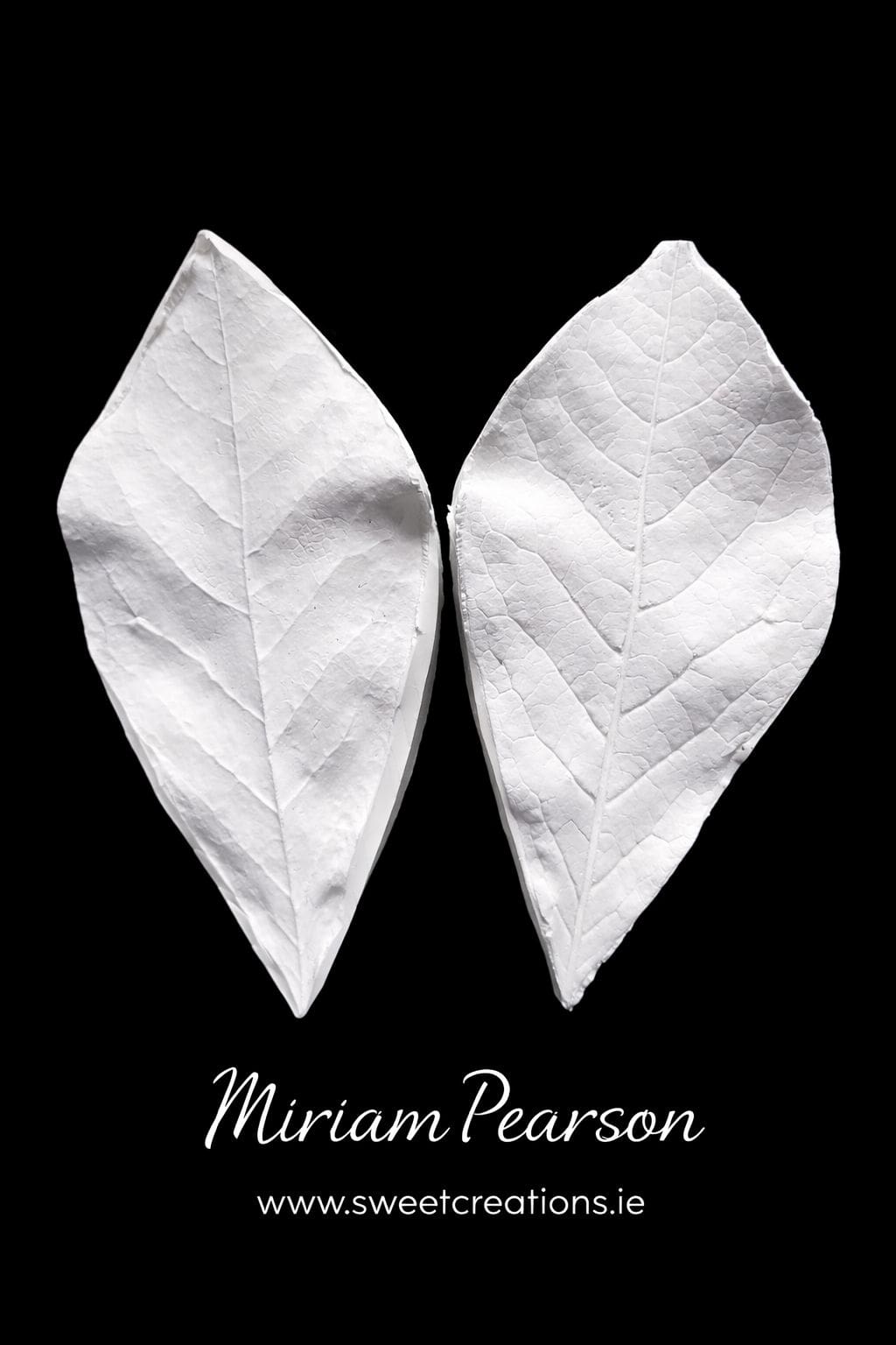 Magnolia Leaf Veiners Magnolia Leaf Veiners - Image 1