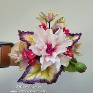 Hibiscus Begonia and Filler Flowers Online Class - Classes